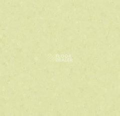 Линолеум Forbo Sphera Element 50048 pistachio фото 1 | FLOORDEALER